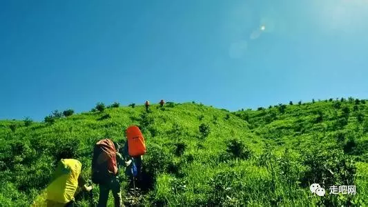 道县月岩林场天气预报更新通知