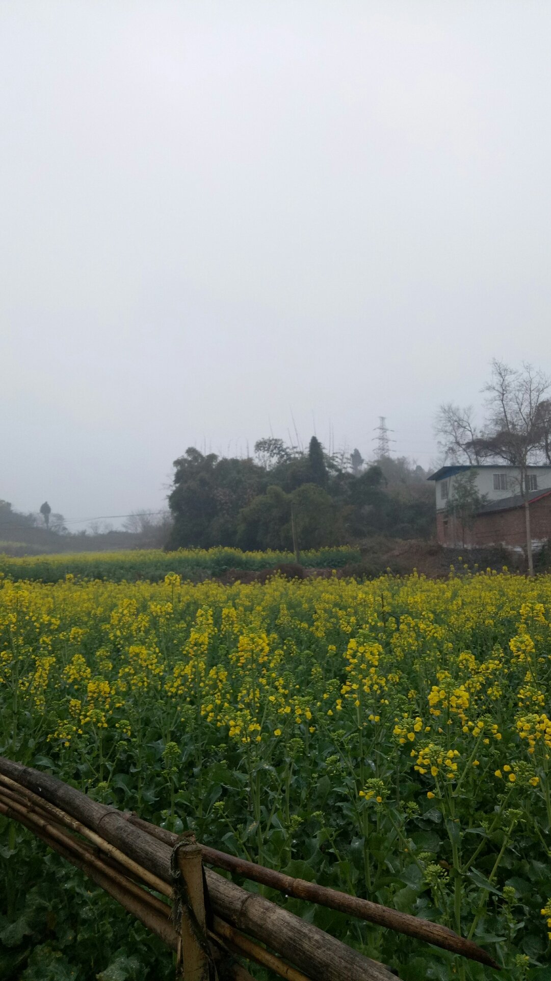 明月镇天气预报更新通知