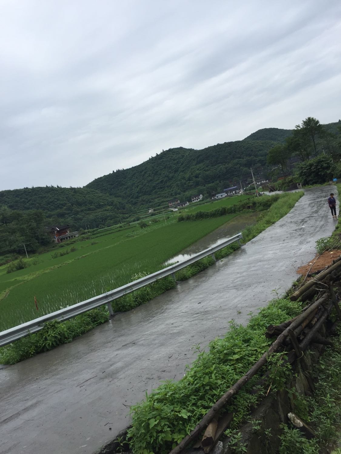 团堡村委会天气预报更新通知