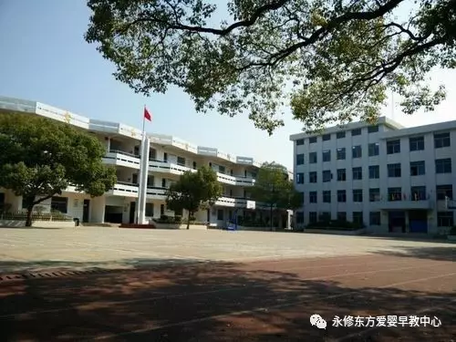 永修县小学最新招聘启事概览