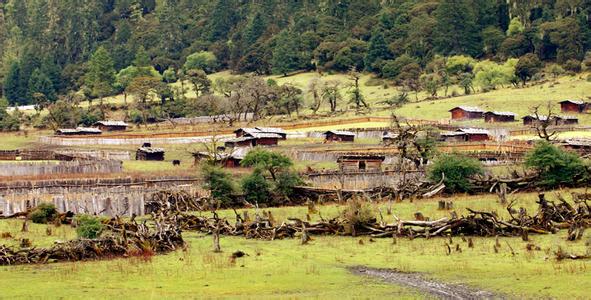 宗崩村天气预报更新通知