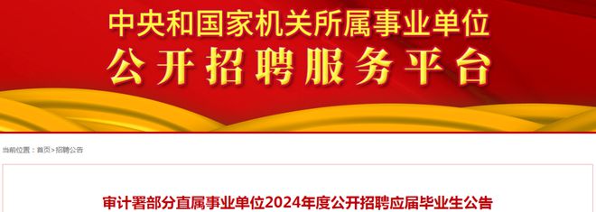 湖滨区审计局招聘信息全面解析