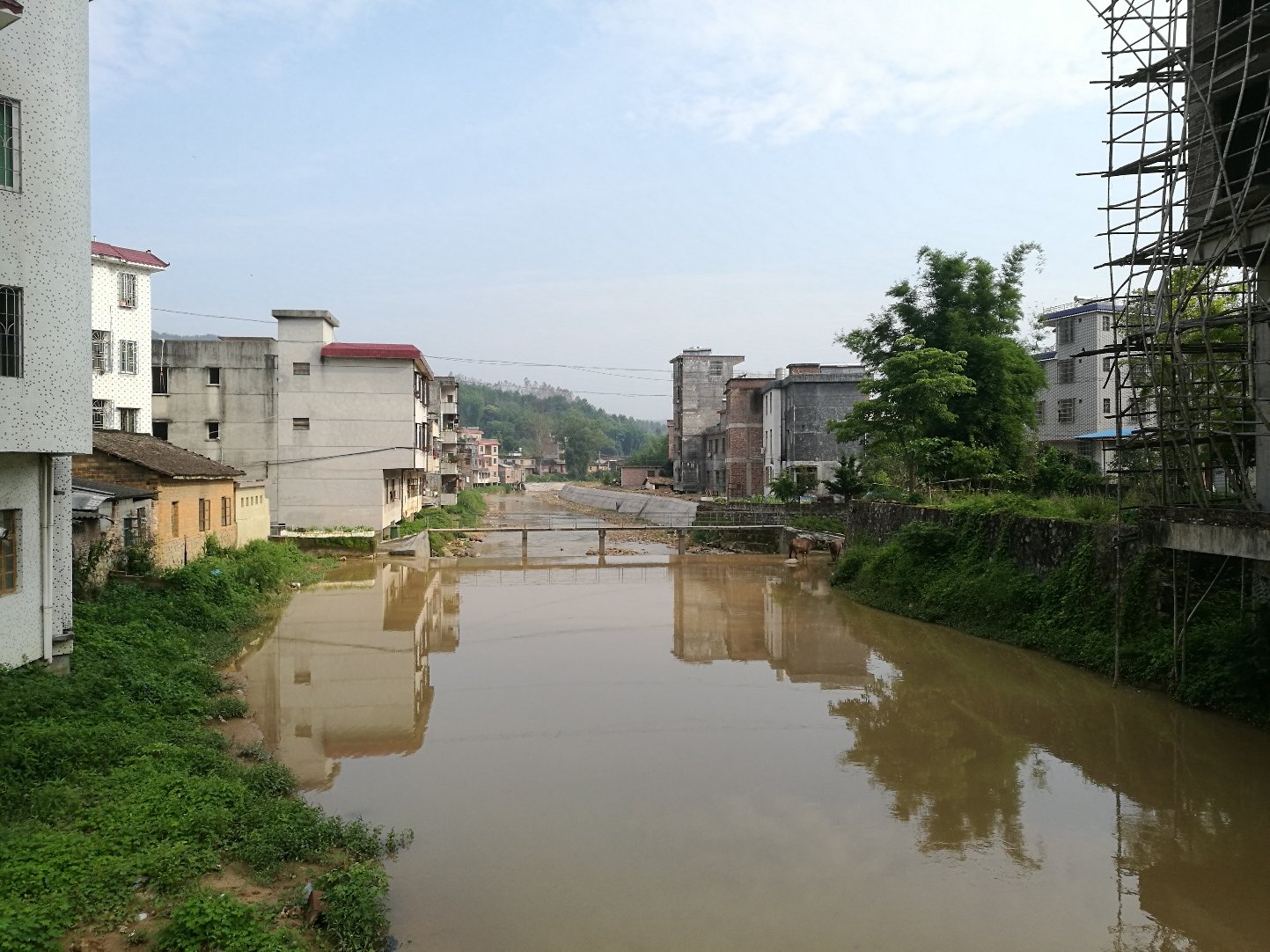 沙塘镇天气预报更新通知