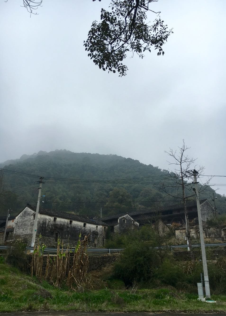 舜山乡天气预报与日常生活关联解析