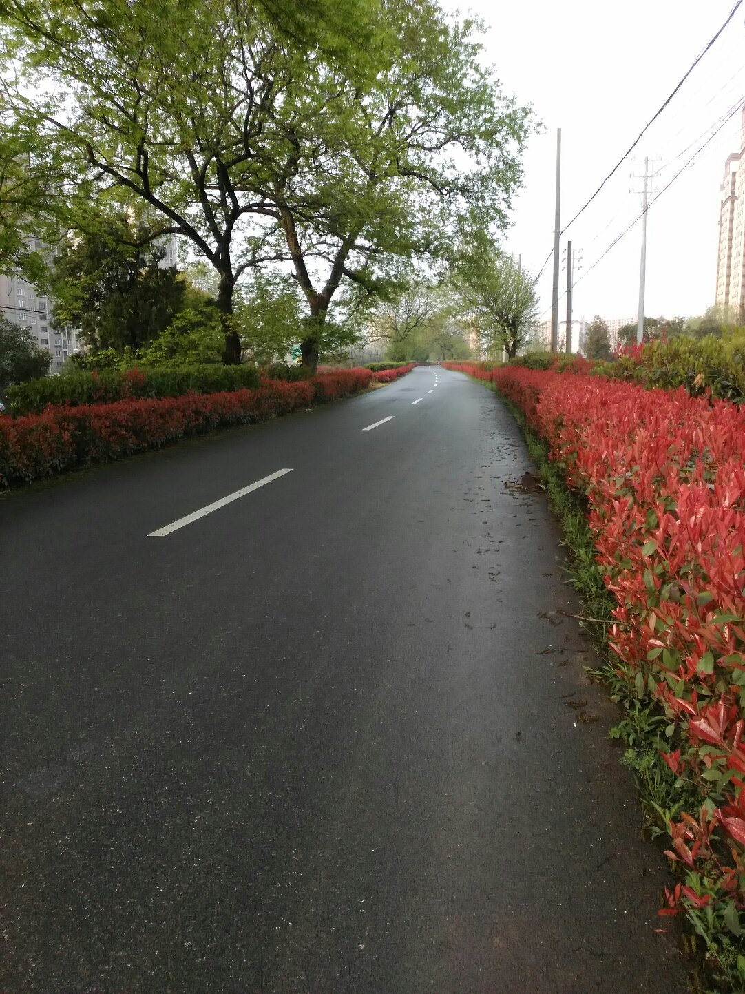 止马营街道天气预报更新通知