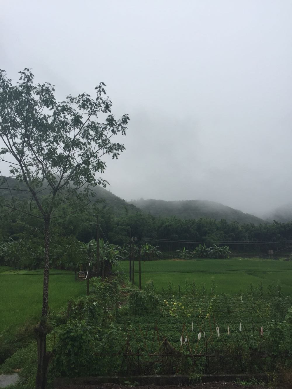 温水乡天气预报更新通知