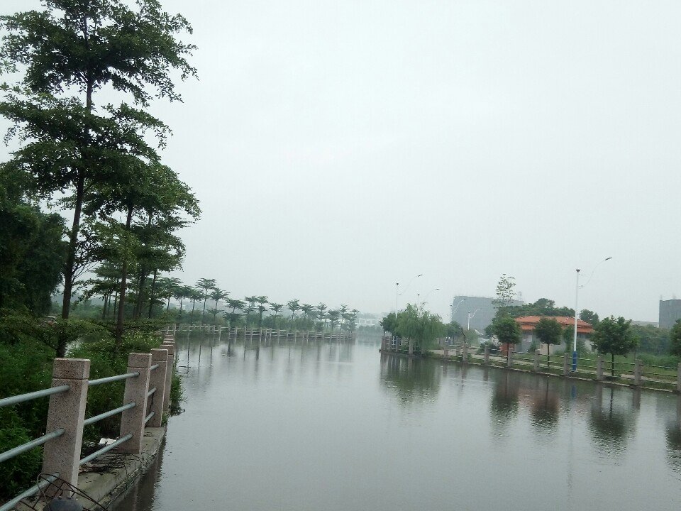 茶滘街道最新天气预报