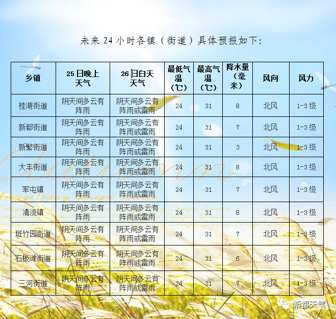 北新镇最新天气预报详解