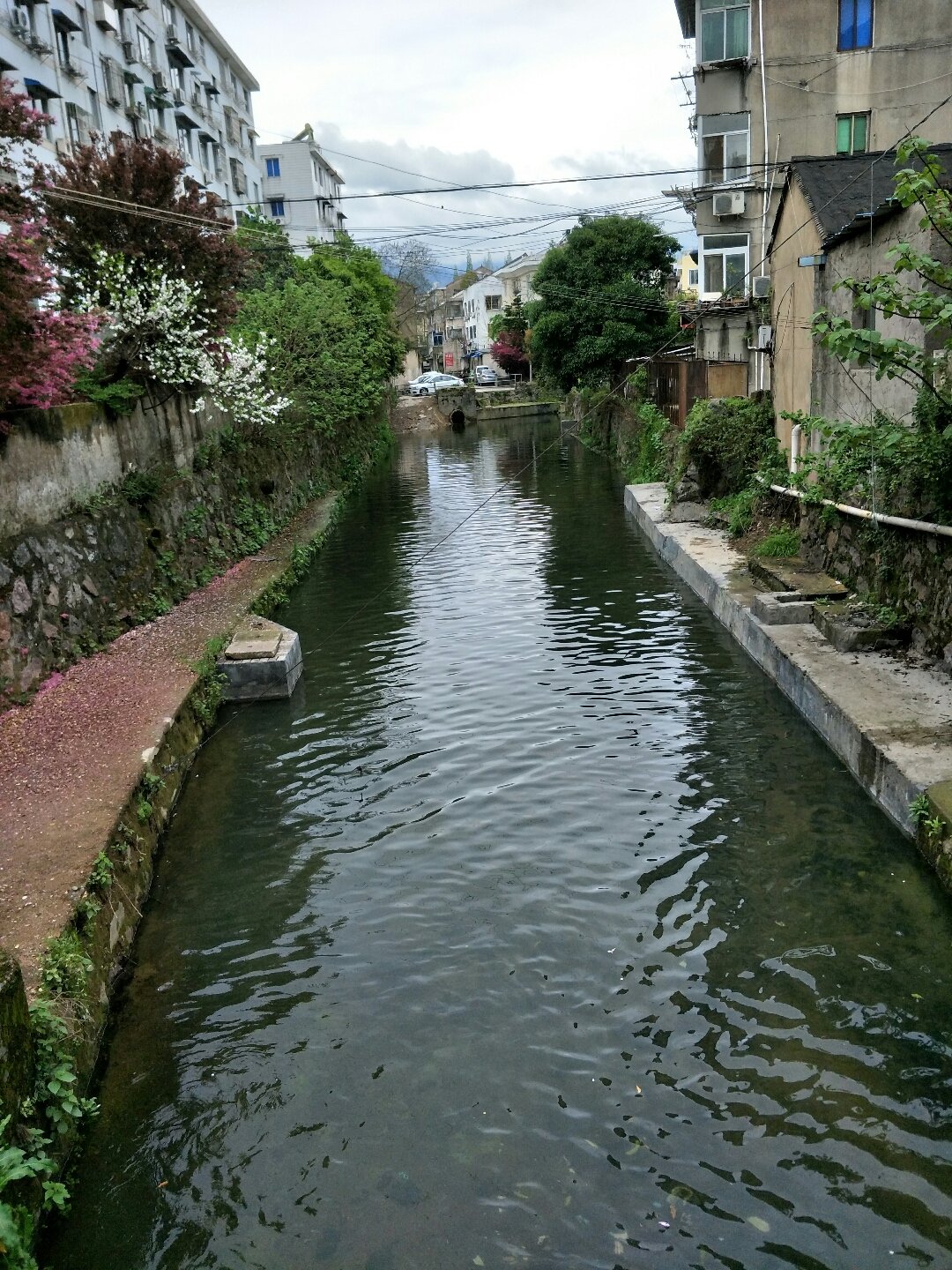 汤浦镇天气预报更新通知