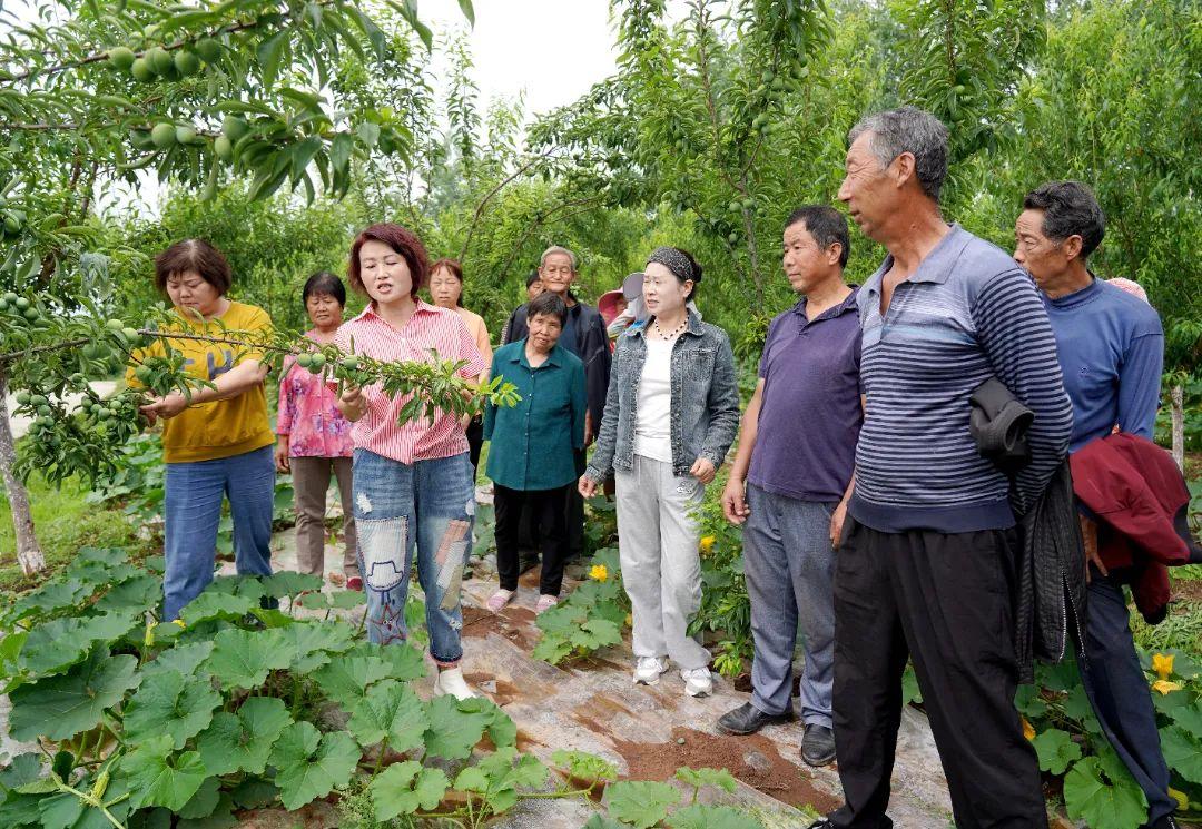 汉台区司法局最新资讯速递