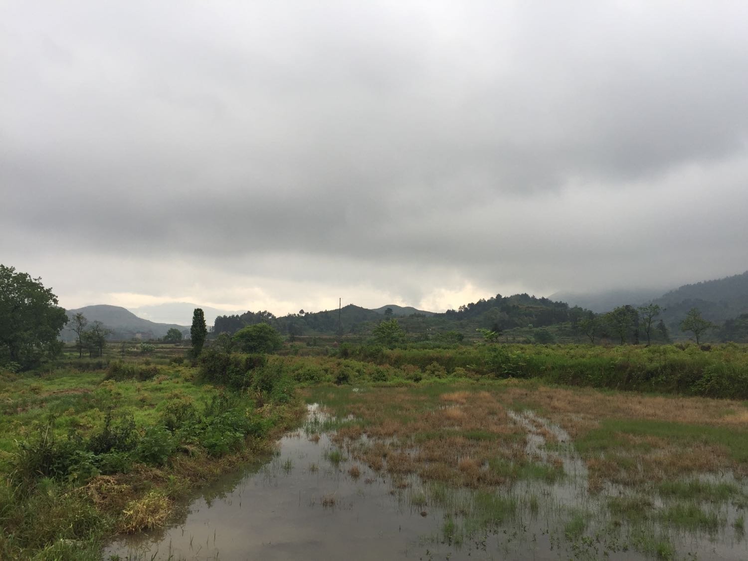 平朗乡最新天气预报