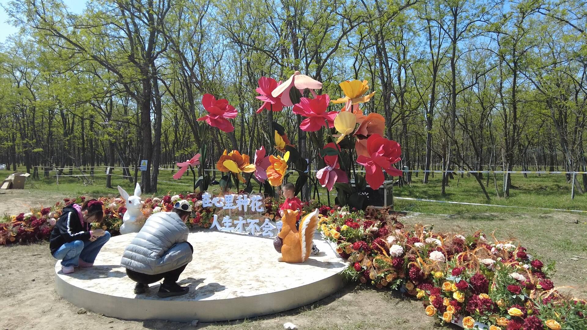 槐花村交通新动态，发展引领乡村繁荣之路