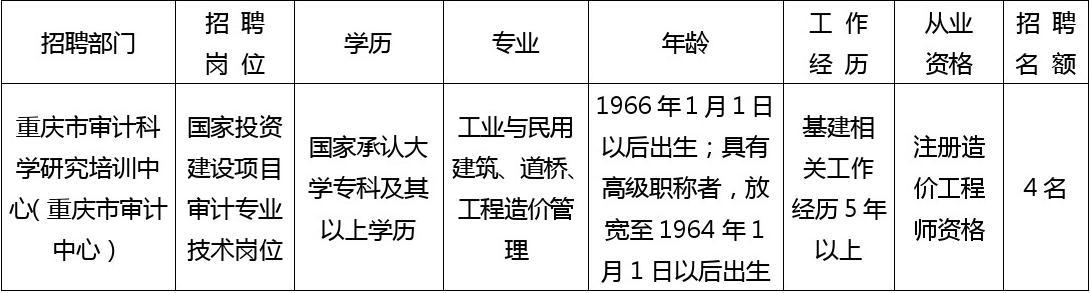 九龙坡区审计局招聘启事全新发布