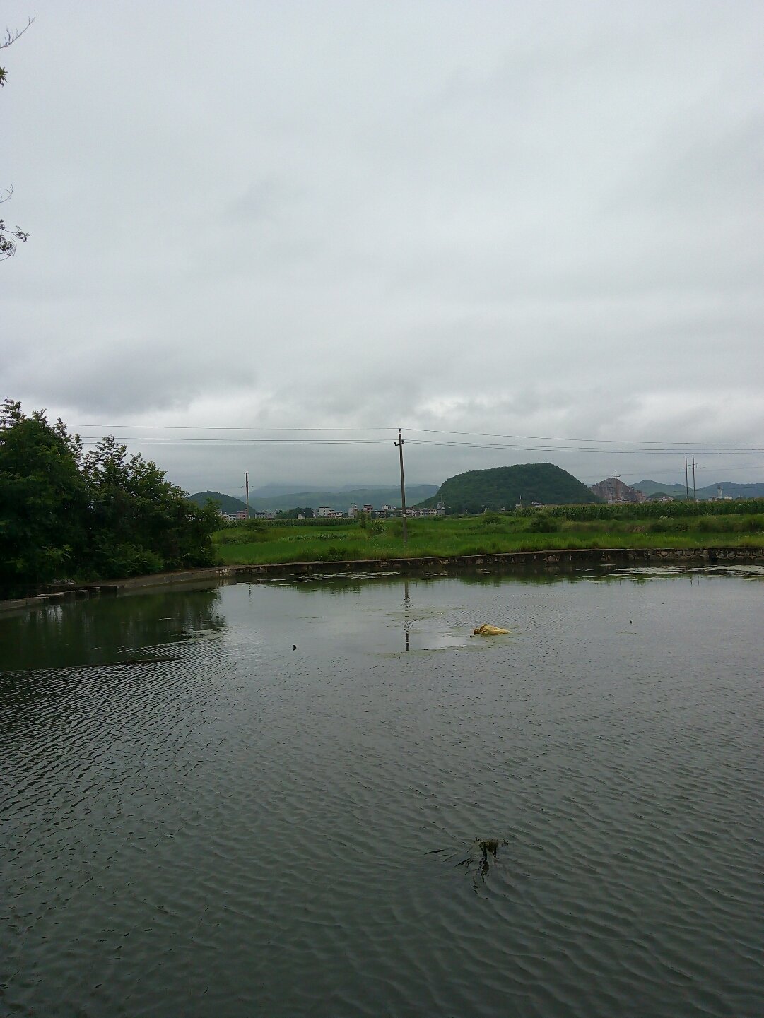 花塘乡最新天气预报