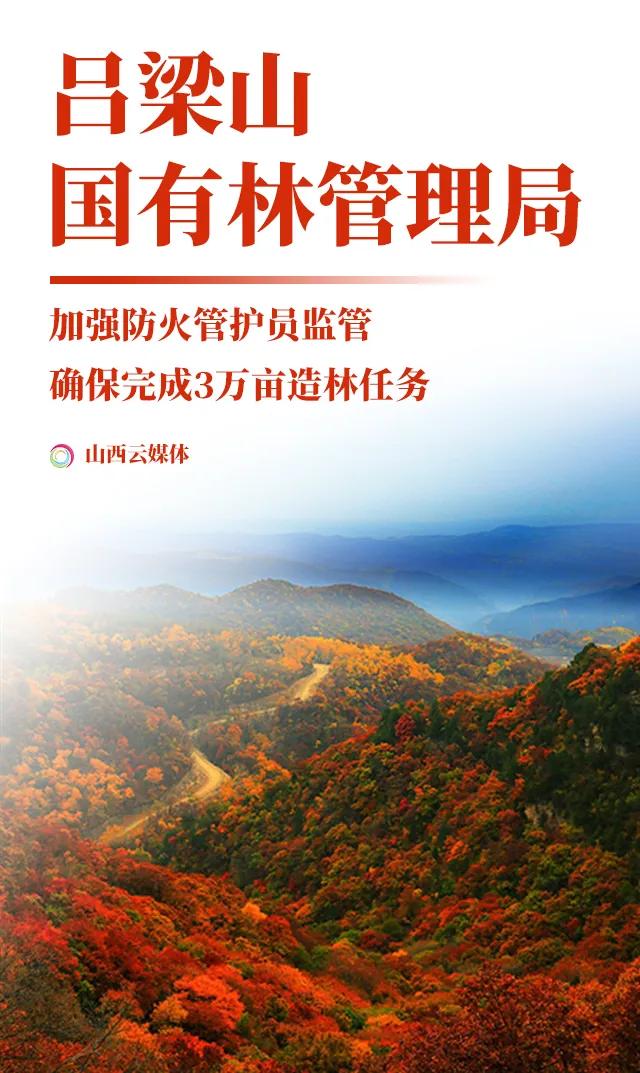 吉县市场监督管理局最新项目概览与动态分析