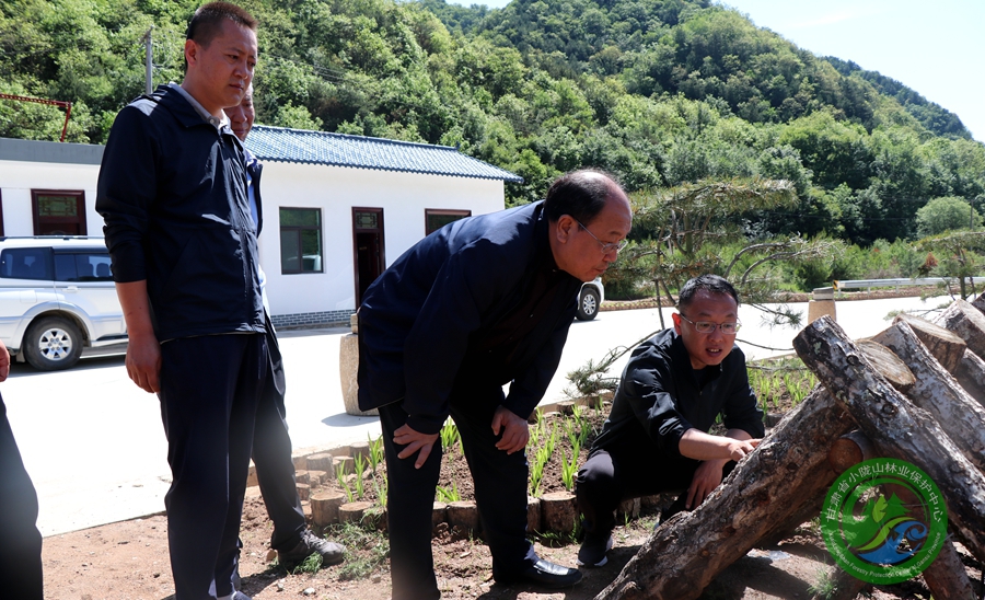 北沟林场新领导引领绿色发展新篇章