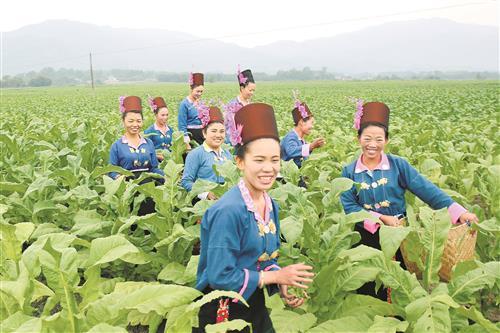 德宏傣族景颇自治州市安全生产监督管理局最新动态更新简报